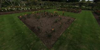 Polesden Lacey Rose Gardens